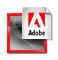Adobe Reader 6.0